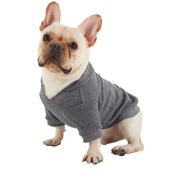 UGG Dog Hoodie
